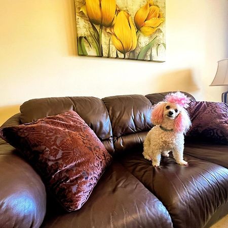 Beautiful Apartment With Pools, Playground And Paddle Tennis - Family Friendly And Near Vithas Hospital - Free Parking In Garage Benalmádena Kültér fotó