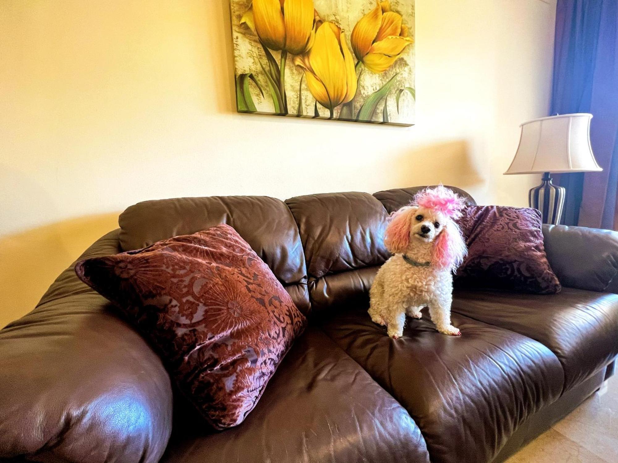 Beautiful Apartment With Pools, Playground And Paddle Tennis - Family Friendly And Near Vithas Hospital - Free Parking In Garage Benalmádena Kültér fotó